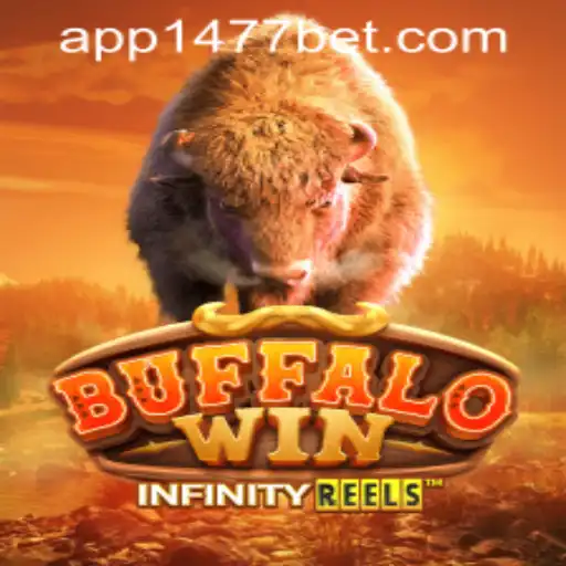 Exploring BuffaloWin: An Immersive Gaming Experience